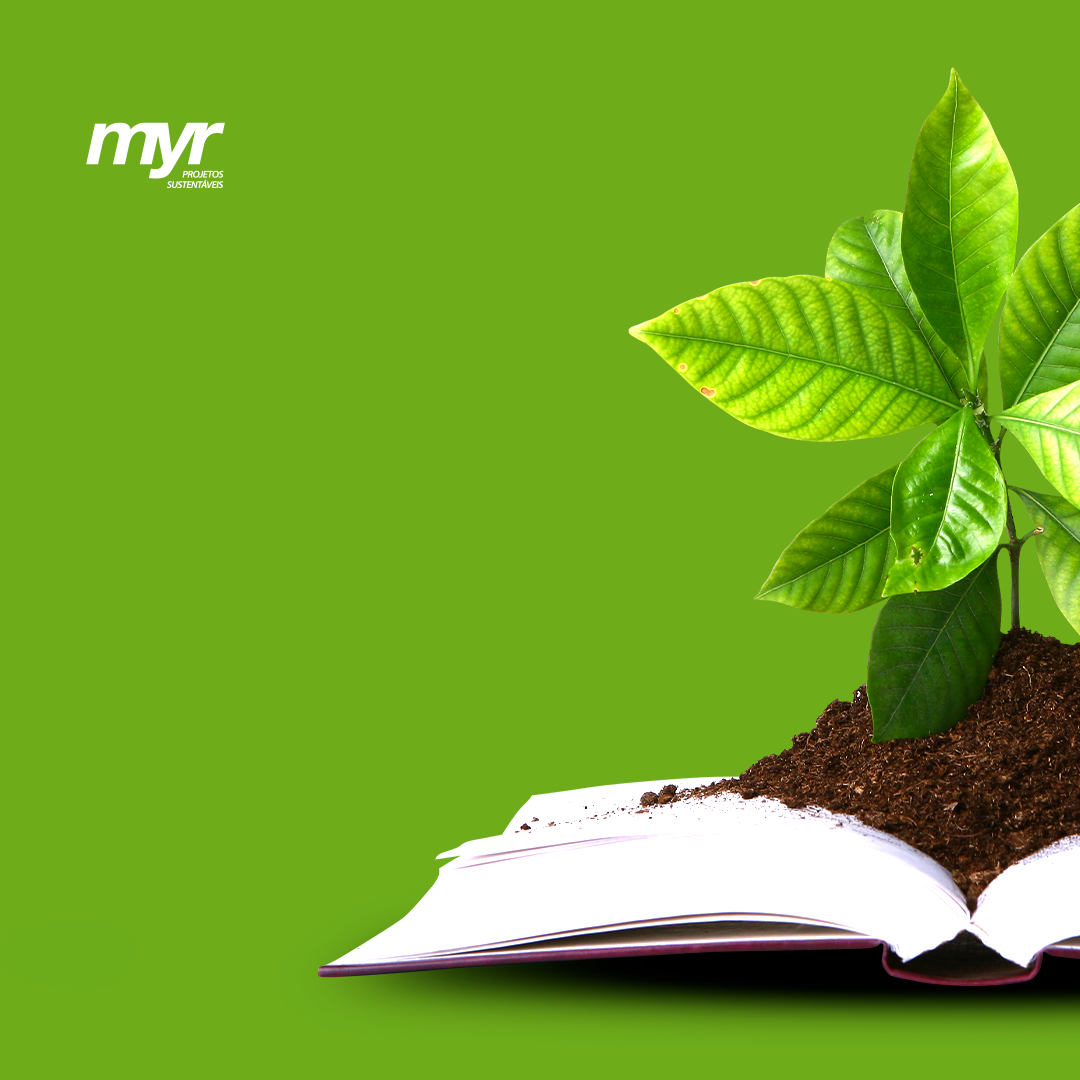 Educação Ambiental é crucial para a sociedade: Conheça as ações do Grupo Myr!