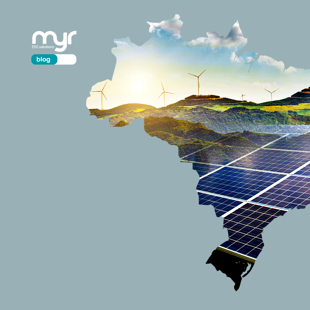 Energias Renováveis: Oportunidades e Riscos para o Brasil na Transição para uma Economia de Baixo Carbono!