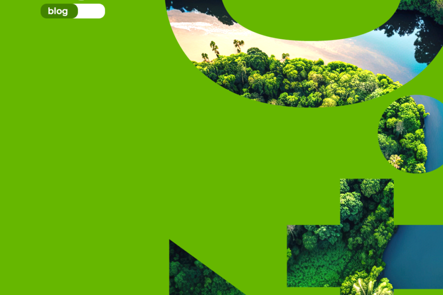 Amazônia 4.0: Inovação e Desenvolvimento Sustentável - Conheça este ambicioso projeto!