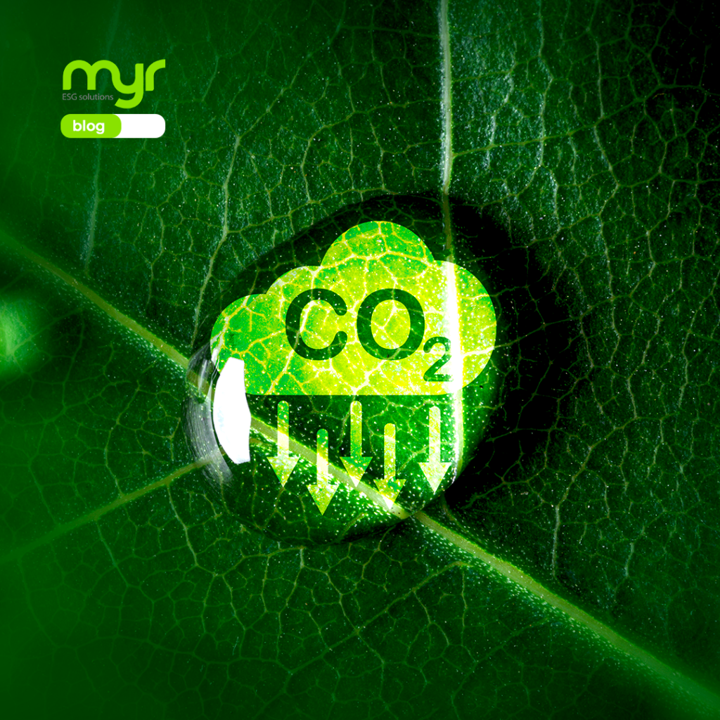 Mercado de Carbono: Uma tendência global para empresas conscientes!