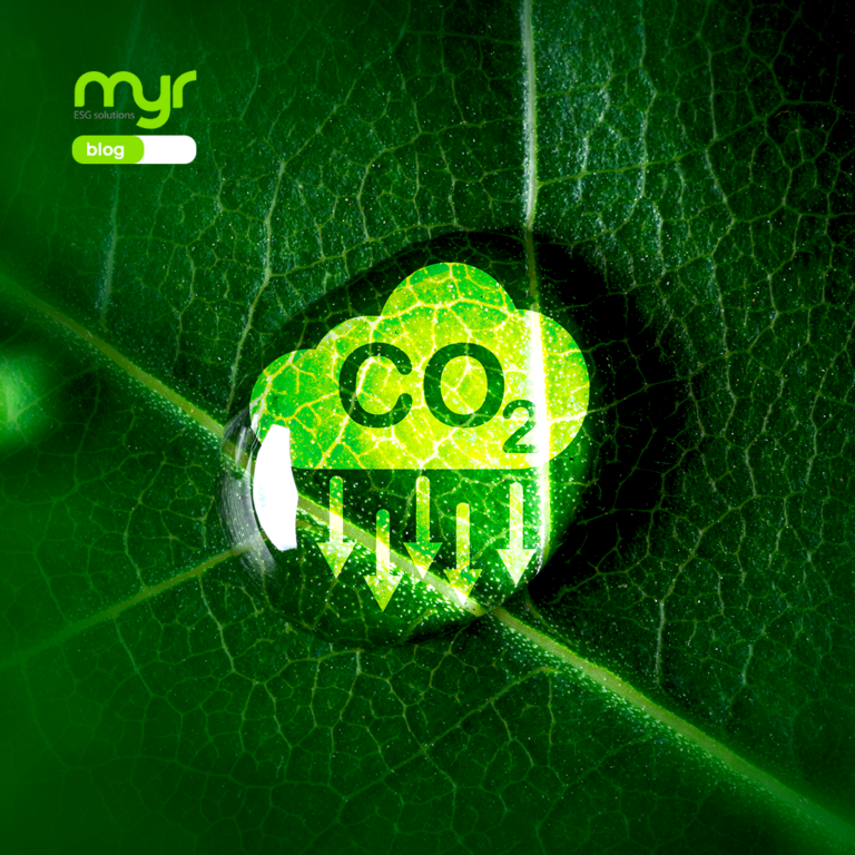 Mercado de Carbono: Uma tendência global para empresas conscientes!