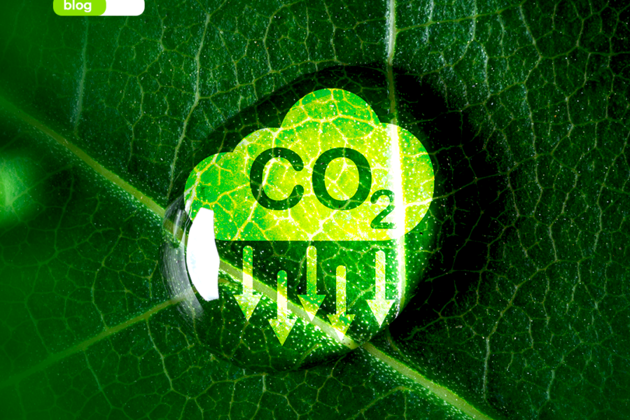 Mercado de Carbono: Uma tendência global para empresas conscientes!