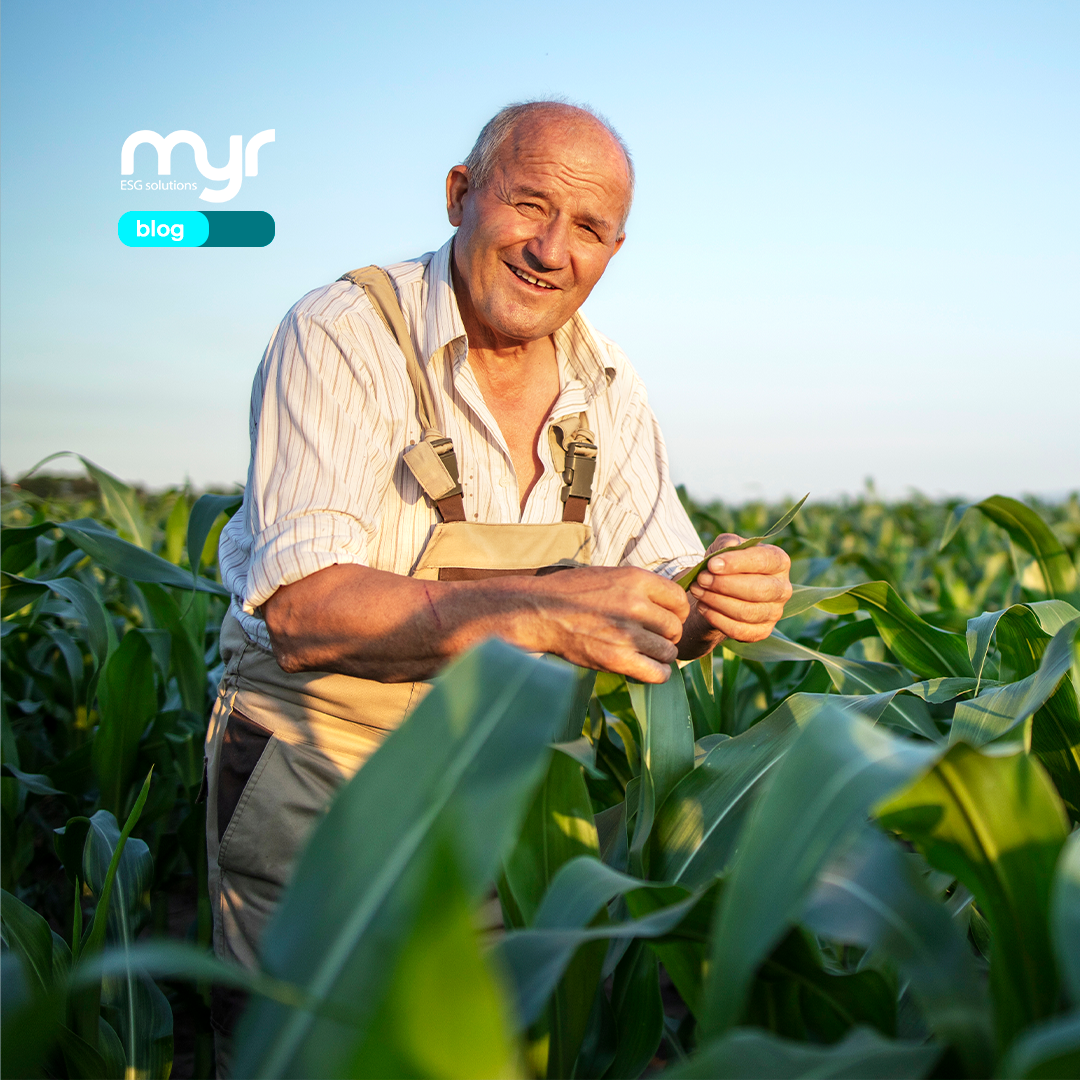 Agricultura Sustentável: Segurança Alimentar e Resiliência Ambiental!