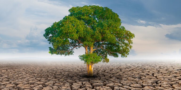 Plano de Adaptação Climática: Entenda a nova lei!