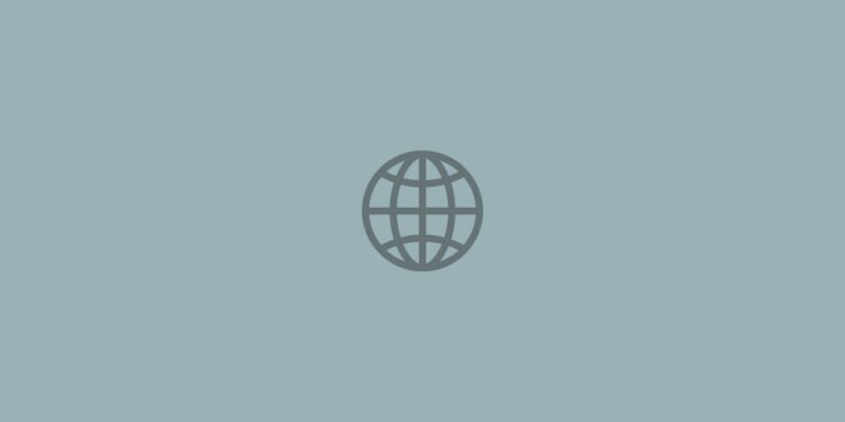 Global Risks Report 2025