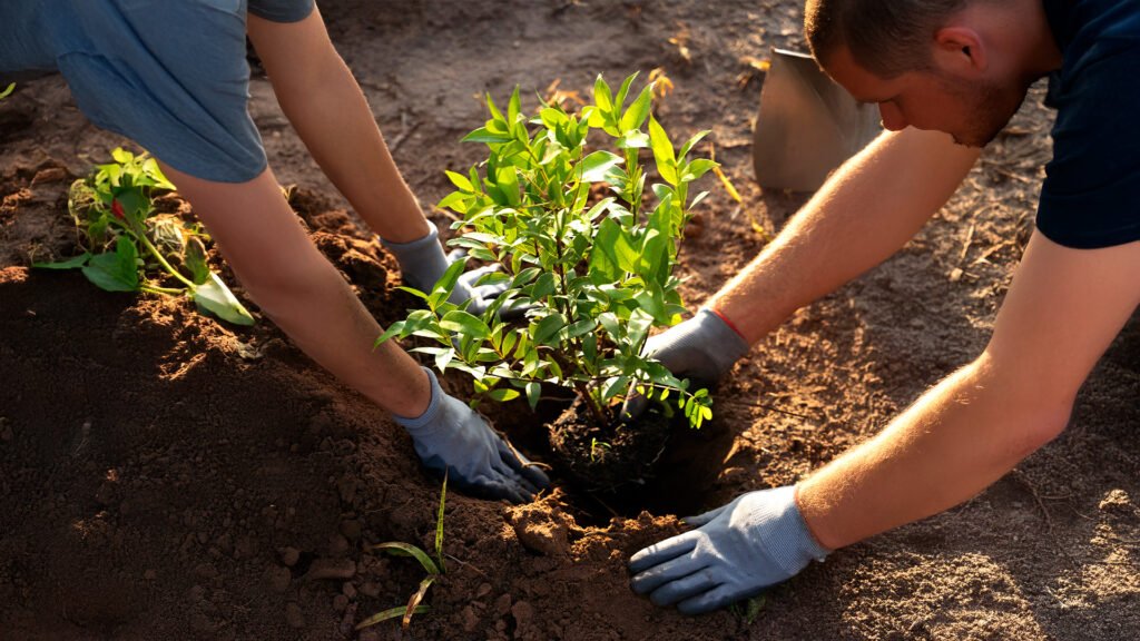 Plano Nacional de Arborização Urbana: Cidades resilientes