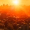 Ondas de calor: desafios e respostas para as cidades