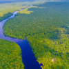 COP30 na Amazônia: impacto global e oportunidades