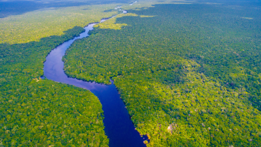 COP30 na Amazônia: impacto global e oportunidades