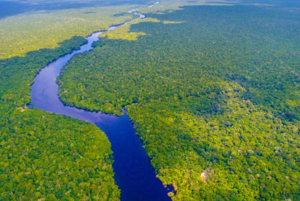 COP30 na Amazônia: impacto global e oportunidades