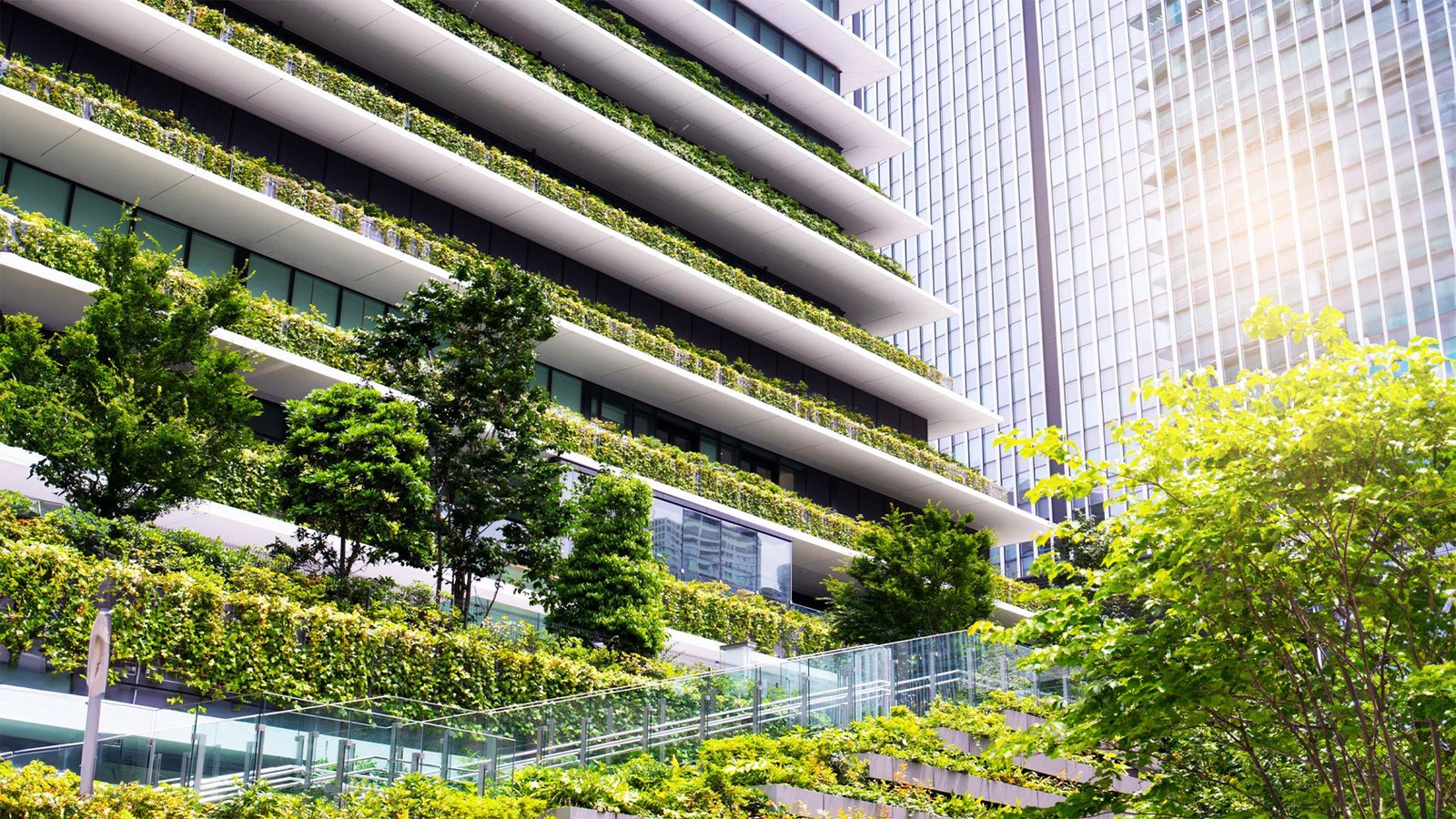 Certificação LEED v5: o que mudou, por que importa e como aplicar ao seu projeto?